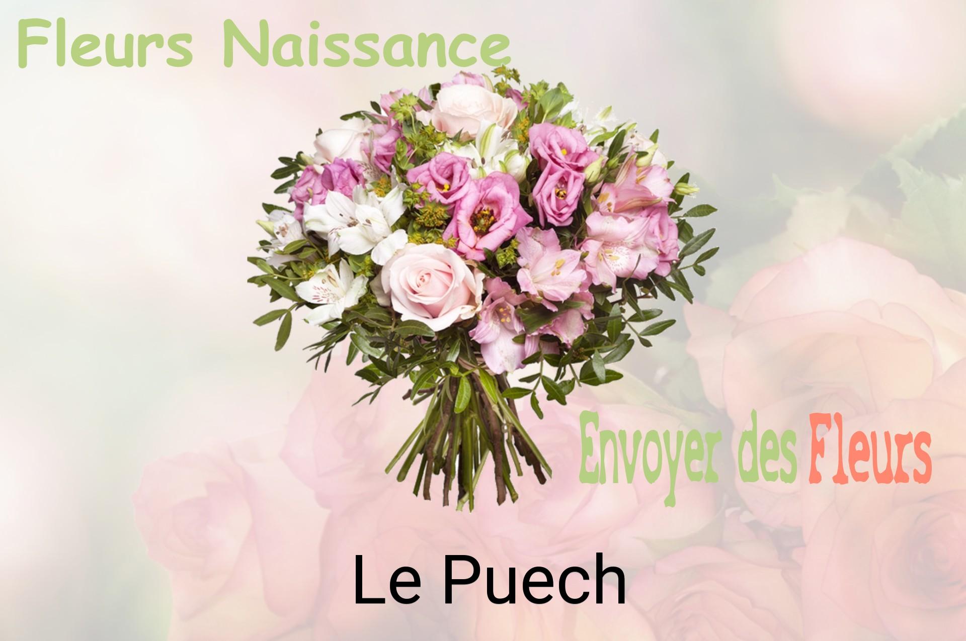 Bouquet de fleurs de naissance livré à Le Puech