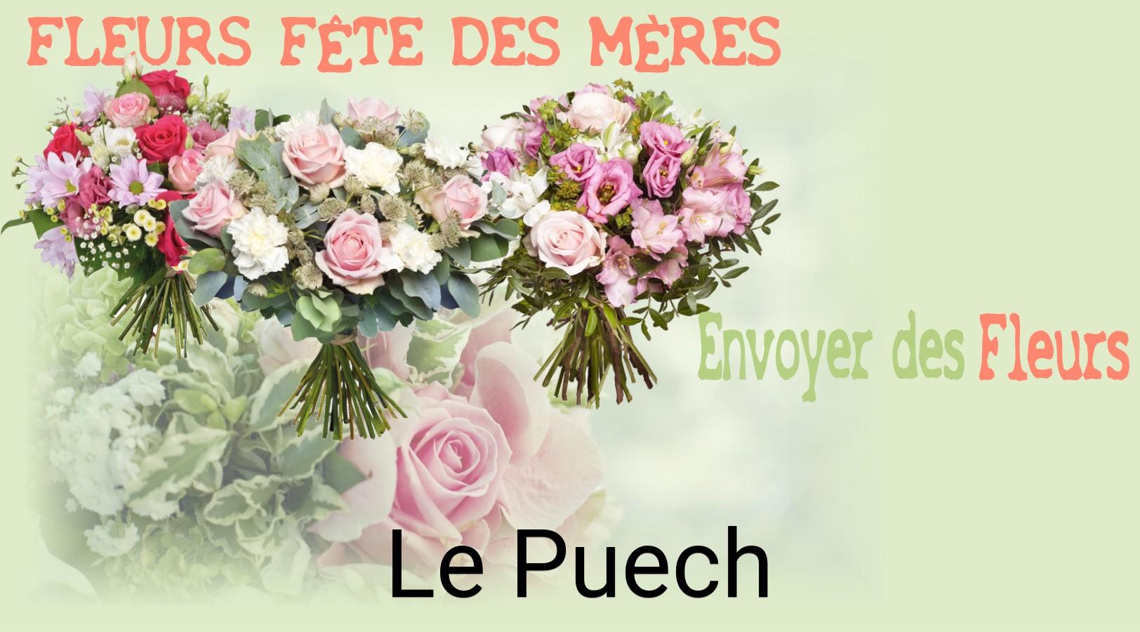Bouquet de Fête des Mères livré à Le Puech